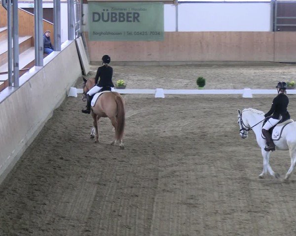 Reitturnier Borgholzhausen-Westbarthausen 2024