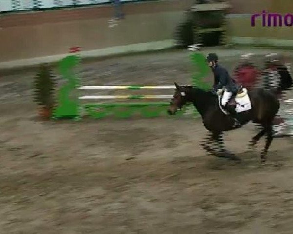 Heiden 2011