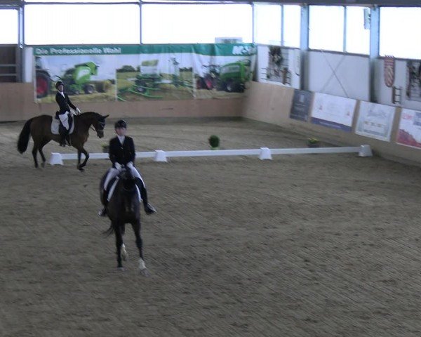 Reitturnier Borgholzhausen-Westbarthausen 2024