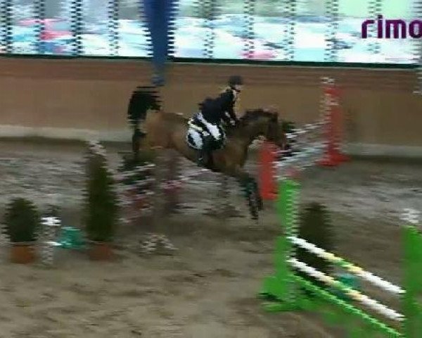 Heiden 2011