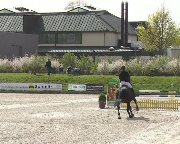 Reitturnier Grafenrheinfeld/Ufr. 2024