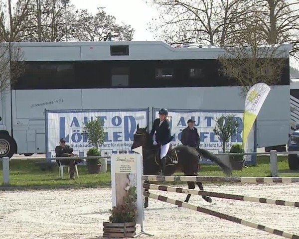 Reitturnier Grafenrheinfeld/Ufr. 2024