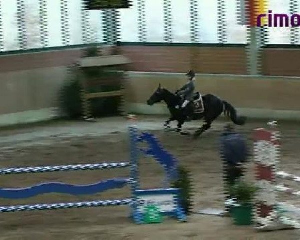 Heiden 2011