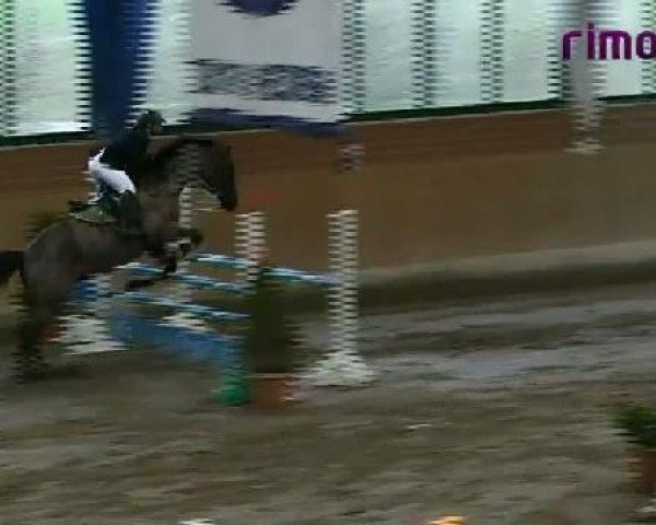 Heiden 2011
