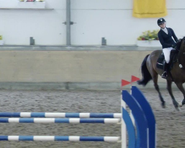 Reitturnier Waghäusel-Wiesental 2024