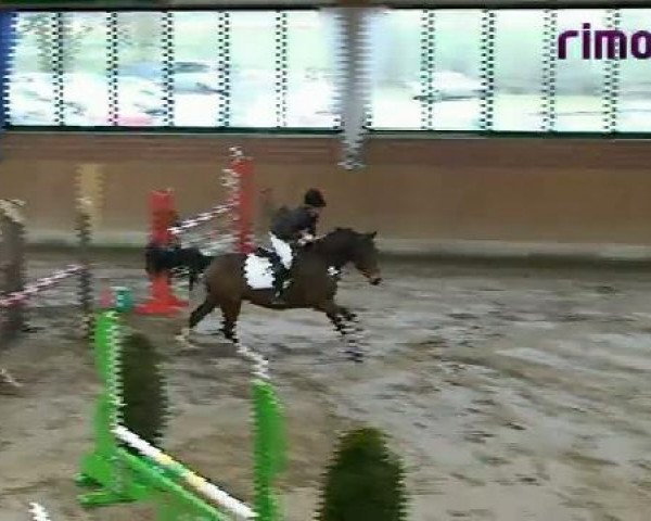 Heiden 2011