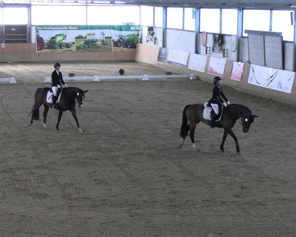 Reitturnier Borgholzhausen-Westbarthausen 2024