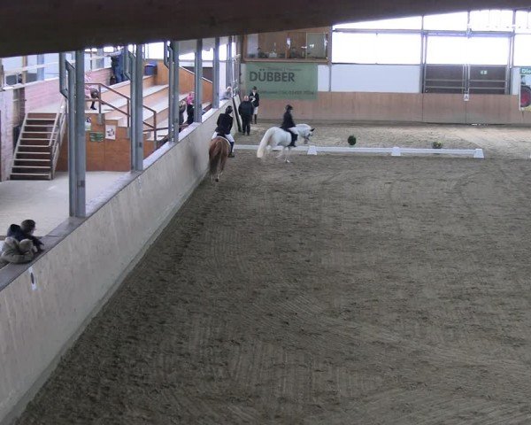 Reitturnier Borgholzhausen-Westbarthausen 2024