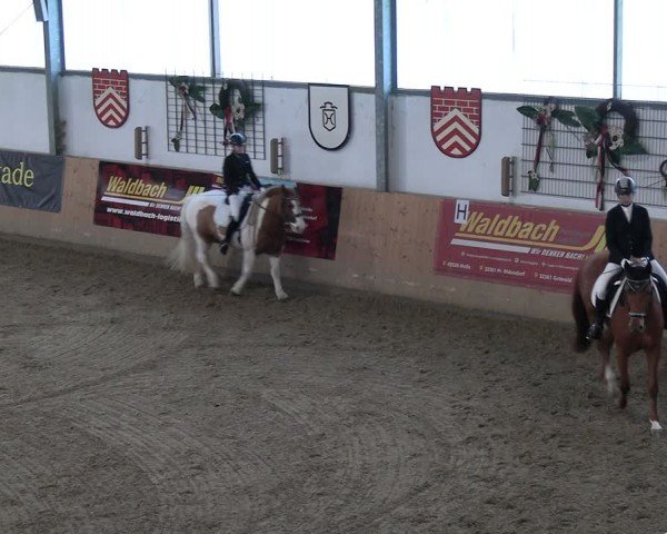 Reitturnier Borgholzhausen-Westbarthausen 2024