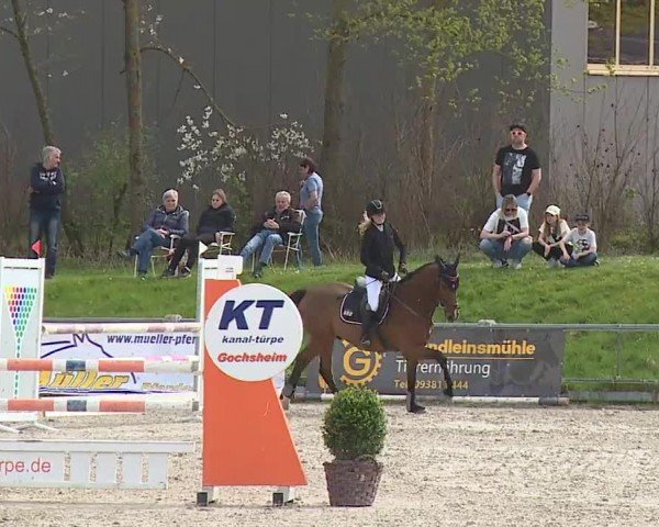 Reitturnier Grafenrheinfeld/Ufr. 2024