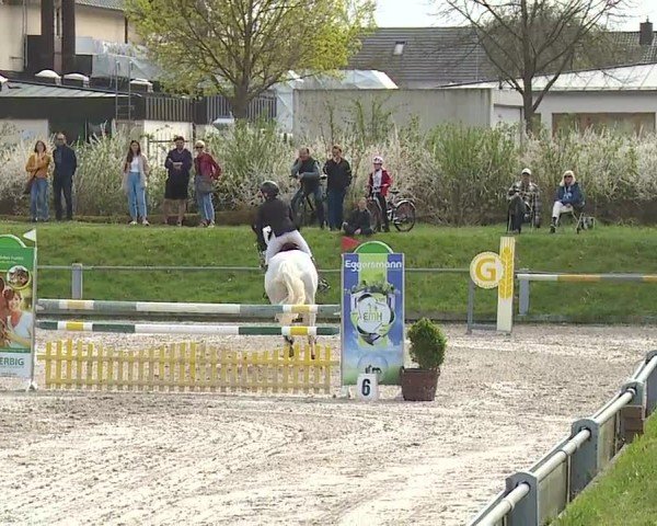 Reitturnier Grafenrheinfeld/Ufr. 2024