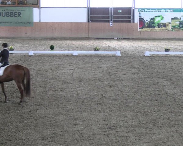 Reitturnier Borgholzhausen-Westbarthausen 2024