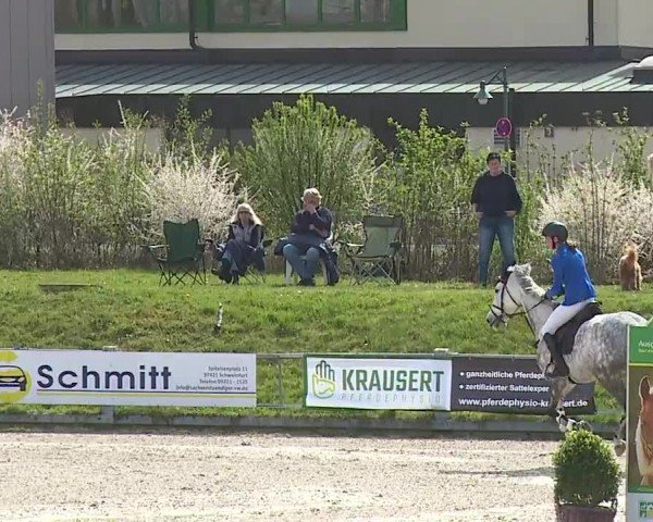 Reitturnier Grafenrheinfeld/Ufr. 2024