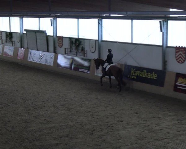 Reitturnier Borgholzhausen-Westbarthausen 2024