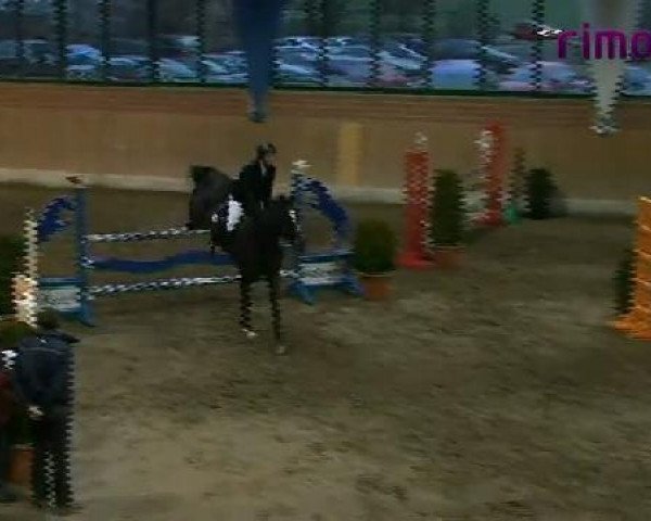 Heiden 2011