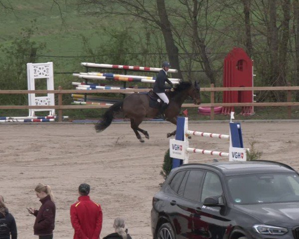 Reitturnier Scharnebeck 2024