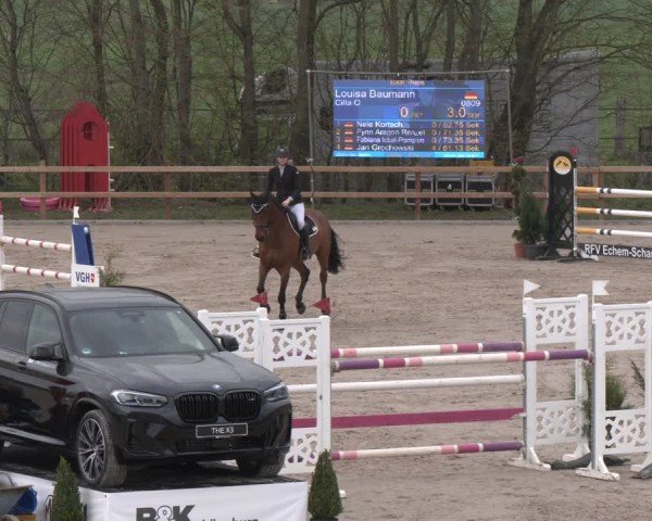 Reitturnier Scharnebeck 2024