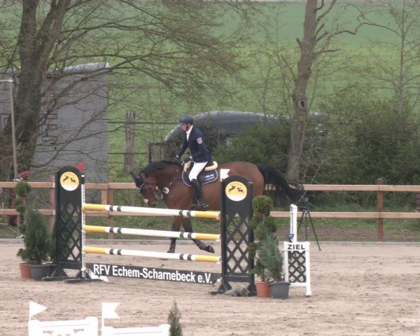 Reitturnier Scharnebeck 2024