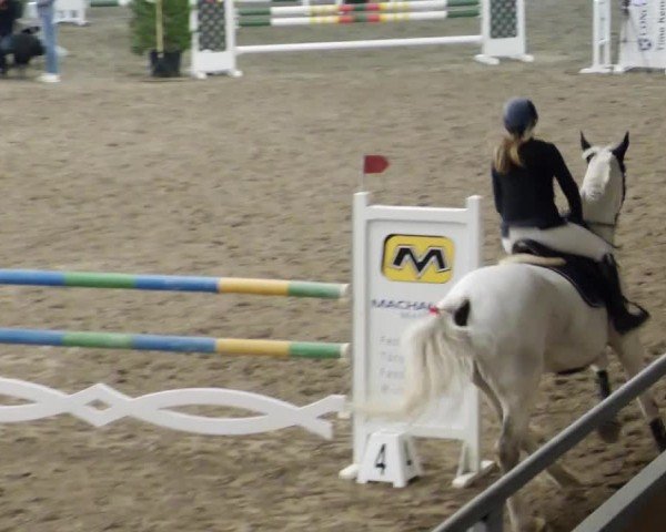 Reitturnier Waghäusel-Wiesental 2024
