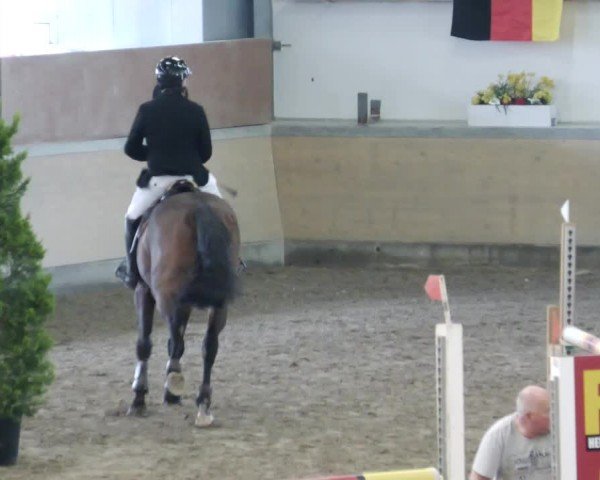 Reitturnier Waghäusel-Wiesental 2024