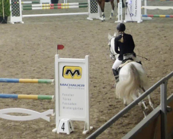 Reitturnier Waghäusel-Wiesental 2024