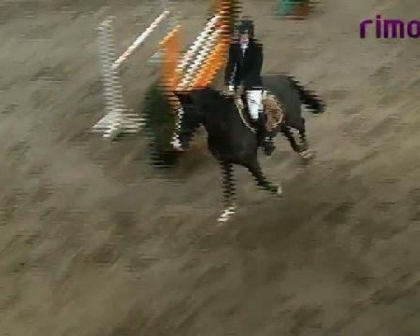 Reitturnier Heiden 2011