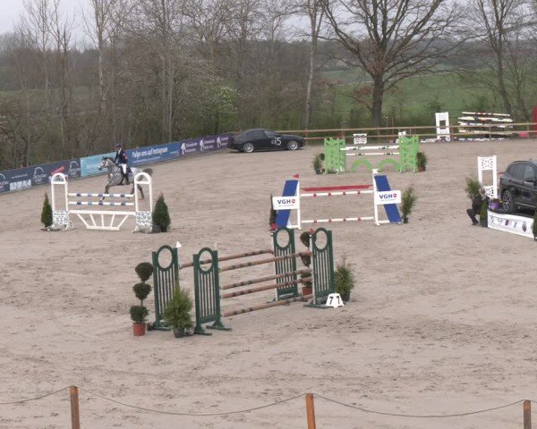 Reitturnier Scharnebeck 2024