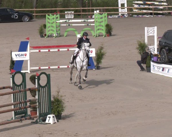 Reitturnier Scharnebeck 2024