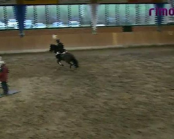 Heiden 2011