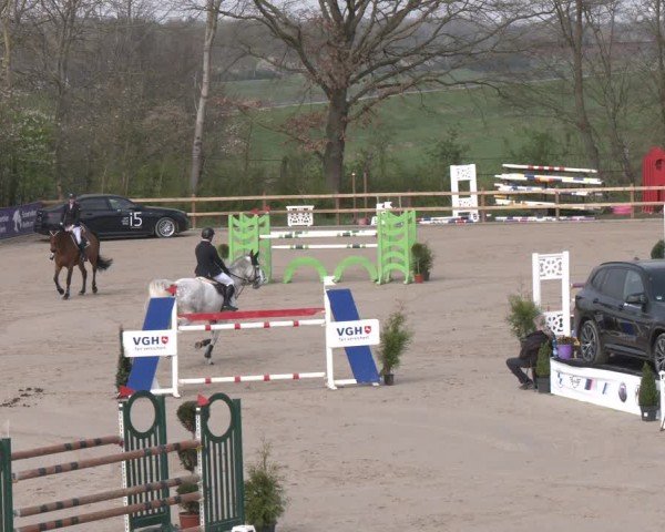 Reitturnier Scharnebeck 2024