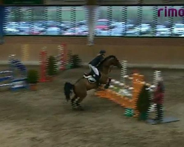 Heiden 2011