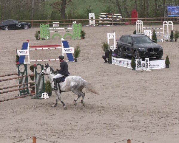 Reitturnier Scharnebeck 2024