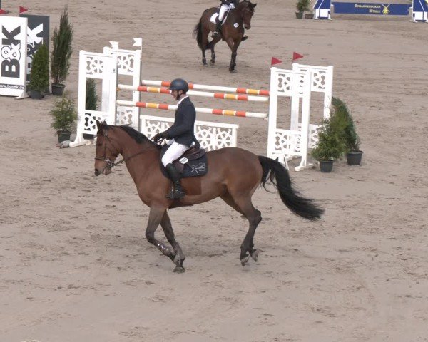 Reitturnier Scharnebeck 2024