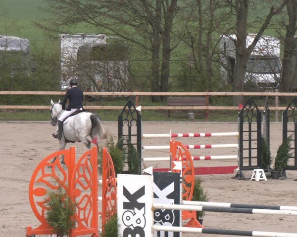 Reitturnier Scharnebeck 2024