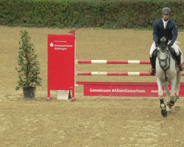 Reitturnier Böblingen 2021
