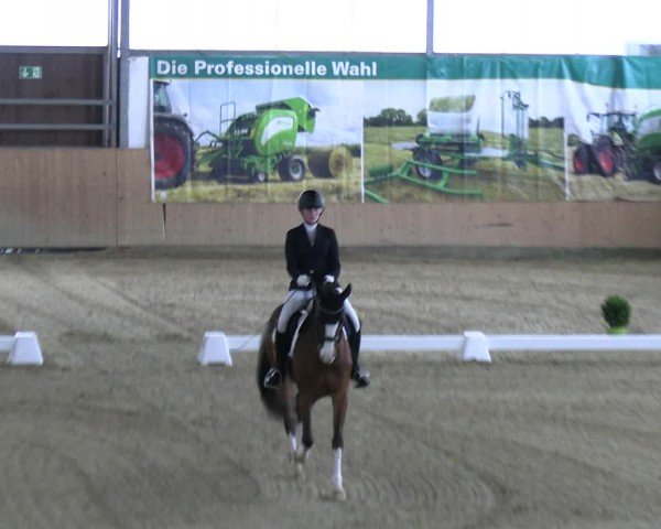Reitturnier Borgholzhausen-Westbarthausen 2024