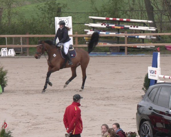 Reitturnier Scharnebeck 2024