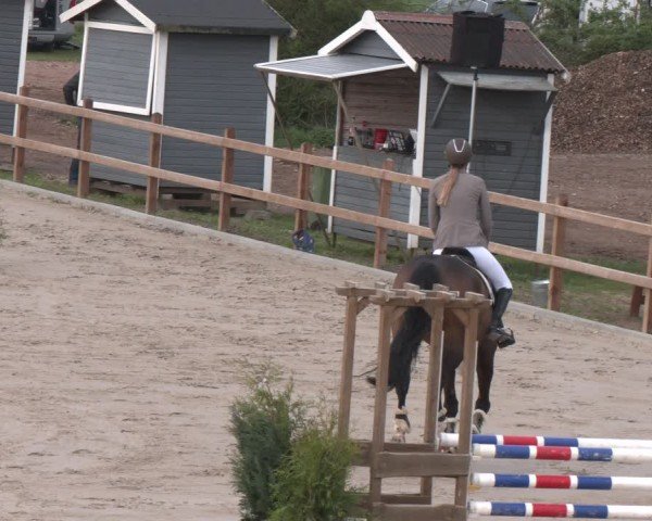 Reitturnier Scharnebeck 2024