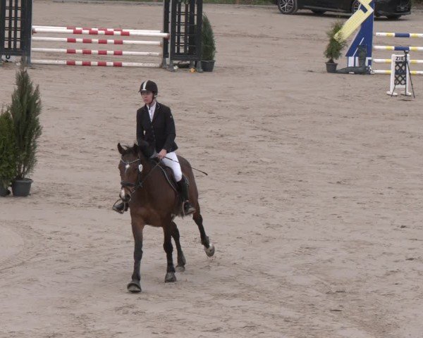 Reitturnier Scharnebeck 2024