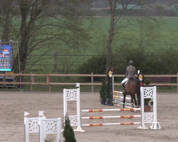 Reitturnier Scharnebeck 2024