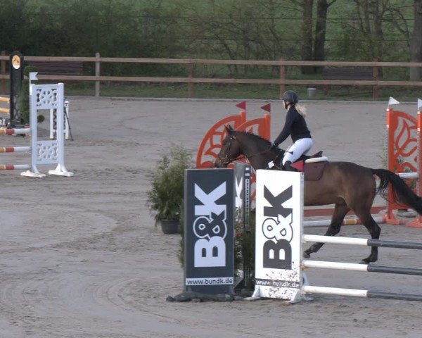 Reitturnier Scharnebeck 2024