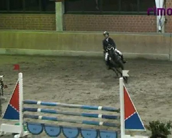 Heiden 2011