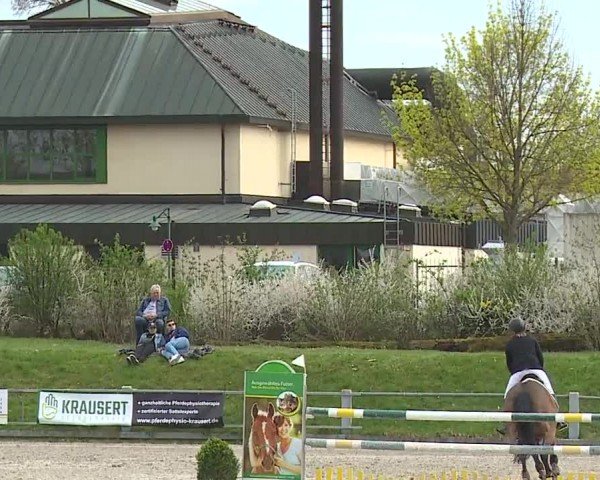 Reitturnier Grafenrheinfeld/Ufr. 2024