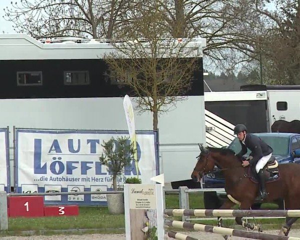 Reitturnier Grafenrheinfeld/Ufr. 2024