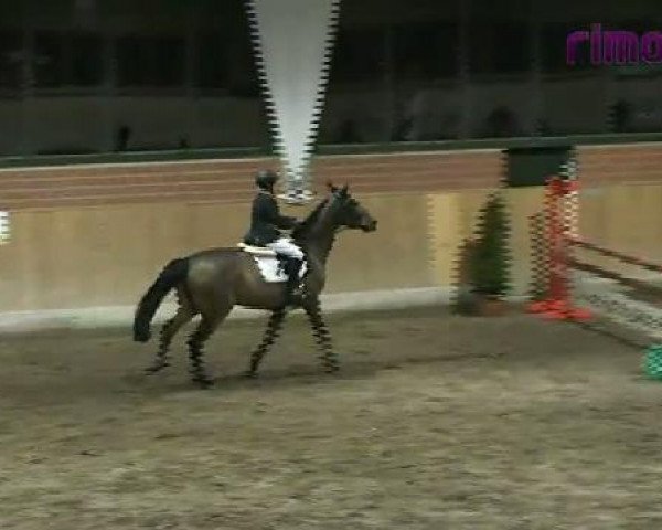 Reitturnier Heiden 2011