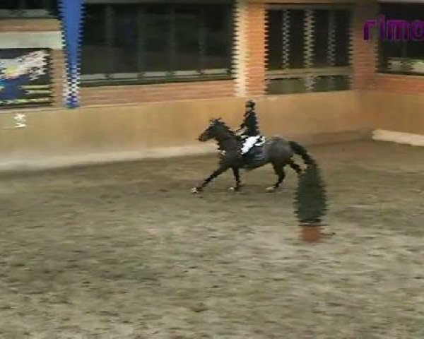 Heiden 2011