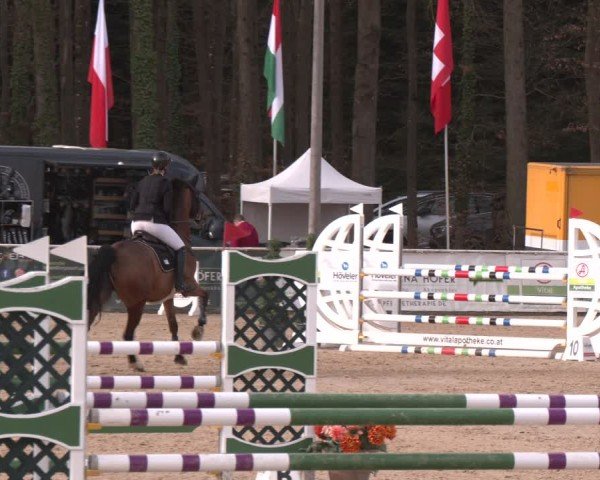 Reitturnier Ranshofen - Braunau am Inn 2024