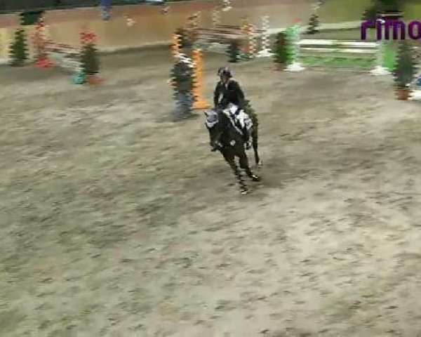 Heiden 2011