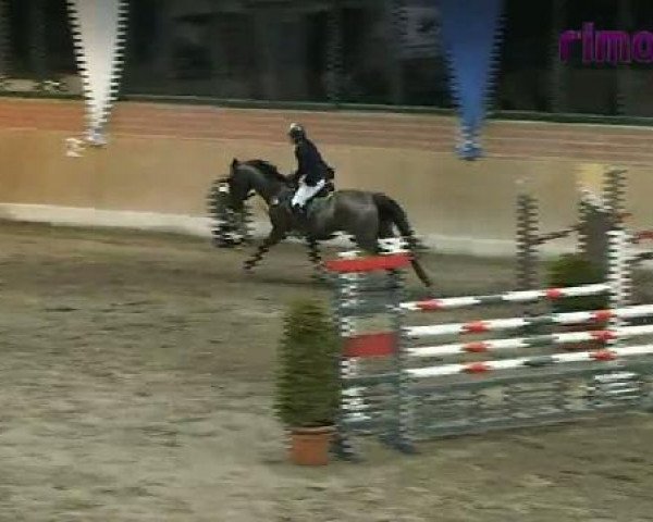 Heiden 2011