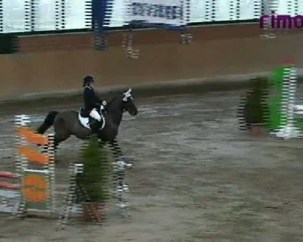 Heiden 2011